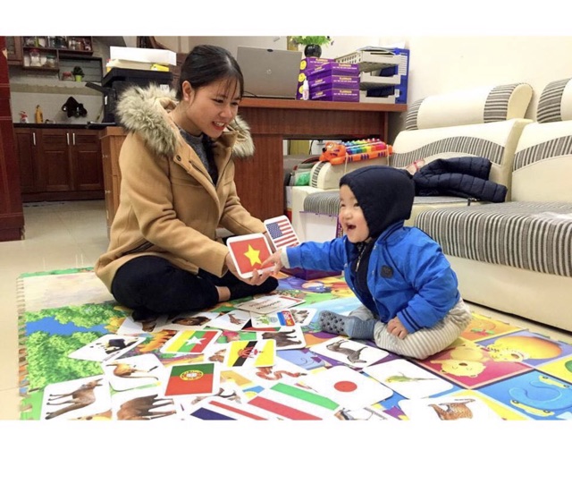 Bộ Thẻ Học Thông Minh cho bé 18 Chủ Đề thẻ học Glenn Doman loại to song ngữ Flashcard tiếng Anh.
