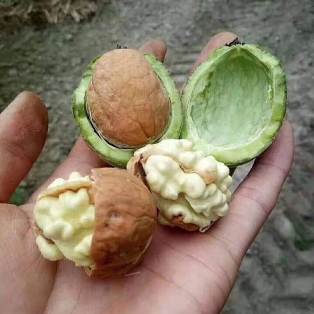 Hạt óc chó combo2kg