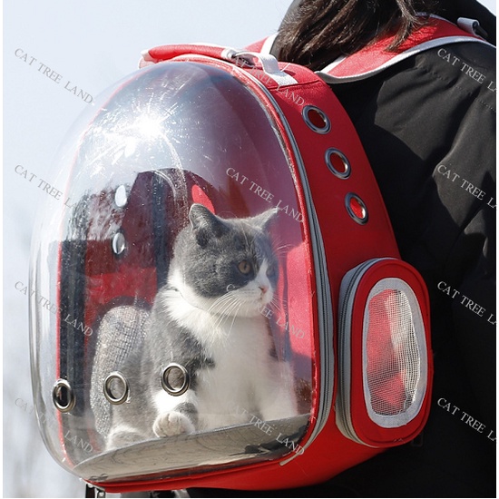 BALO VẬN CHUYỂN CHÓ MÈO, BA LÔ PHI HÀNH GIA TRONG SUỐT - LỒNG, TÚI VẬN CHUYỂN THÚ CƯNG