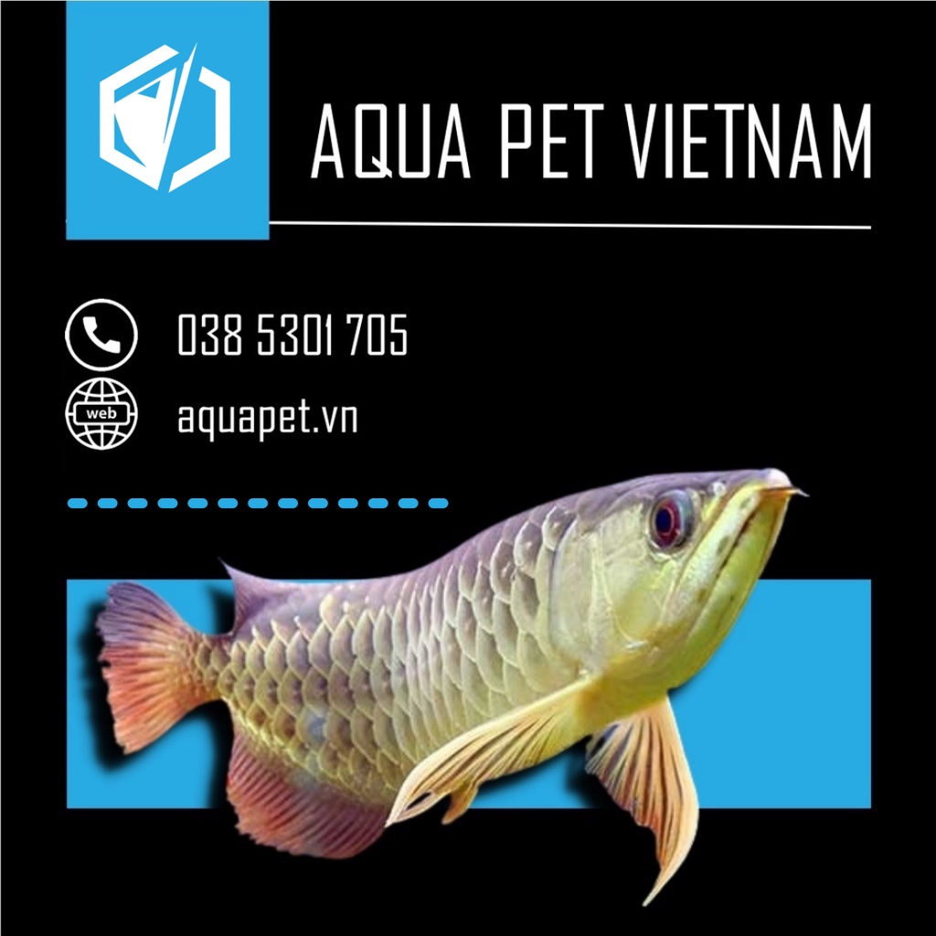 Đầu chuyển phi thẩm mỹ, ống nước bể cá chuyên dụng