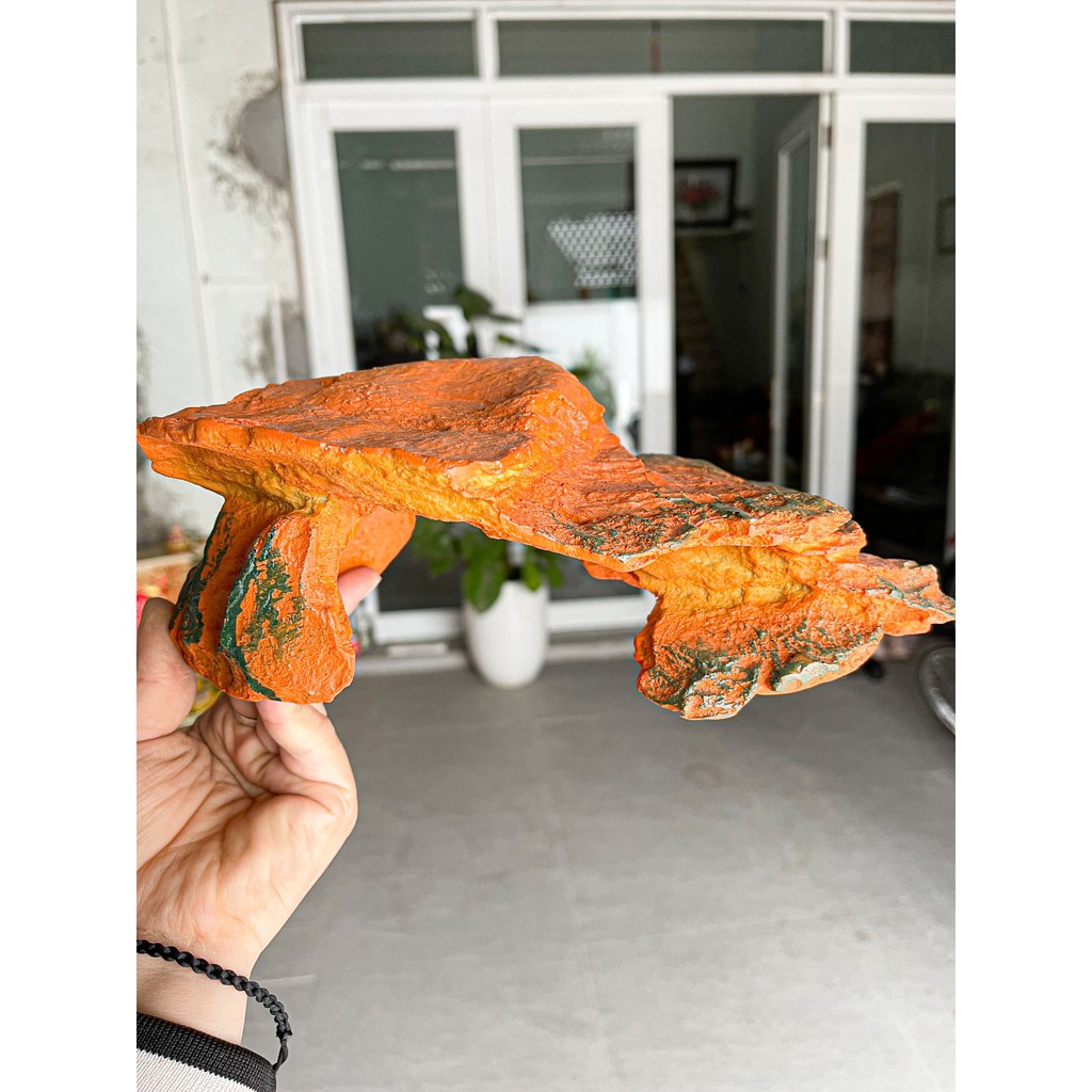 Đá leo kèm hang trú cho rùa và bò sát