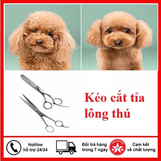 Bộ kéo cắt tỉa lông thú kèm bao da cao cấp - Cắt tỉa lông chó mèo