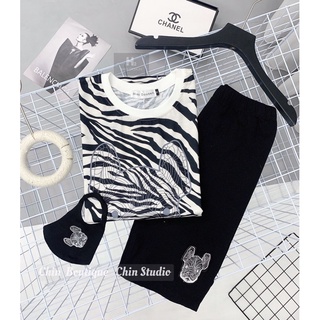 SET NGỐ VẰN HÌNH CHÓ PUG