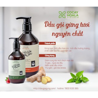 Dầu gội - Xả gừng tươi nguyên chất NGĂN #Rụngtóc, #Gàu, #Ngứa, #Bạctóc (Chai chiết mini Dầu gội 100ml, dầu xả 100ml)