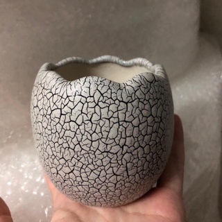 Chậu Rạn Sứ, Chậu Nứt, Chậu trái trứng