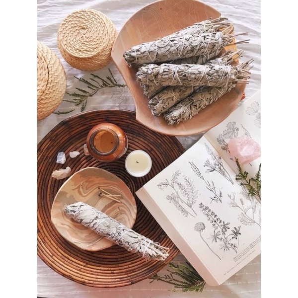 Lá Xô thơm Peru - Lá Sage