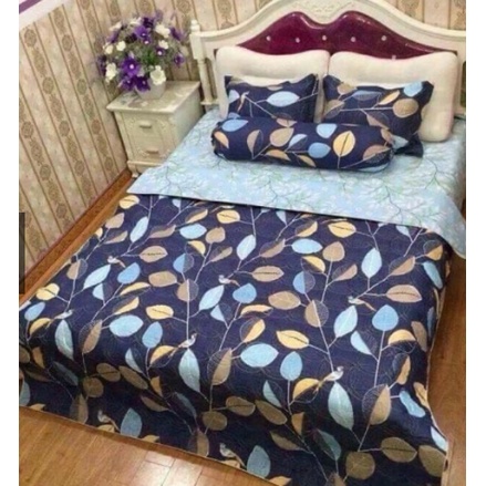 Bộ Drap 4 món ga gối 1m/m2/m4/m6/m8 - màu ngẫu nhiên