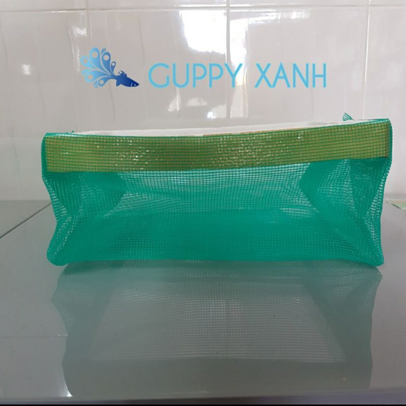 Lồng đẻ, dưỡng cá 7 màu có phao nổi phù hợp với các loại khay và thùng xốp - Made In Guppyxanh