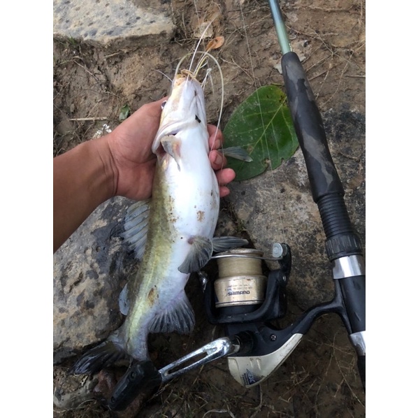 MỒI CÂU CÁ LĂNG HỦ 500gr