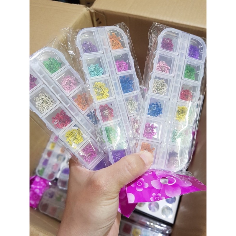 Sét hoa khô nail trang trí móng☄️FREESHIP☄️