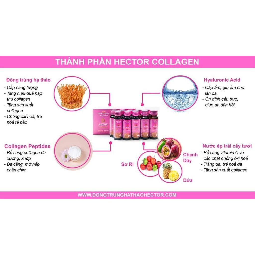 [Chính Hãng] Nước Hector Collagen Đông Trùng Hạ Thảo 1 hộp 10 chai | BigBuy360 - bigbuy360.vn