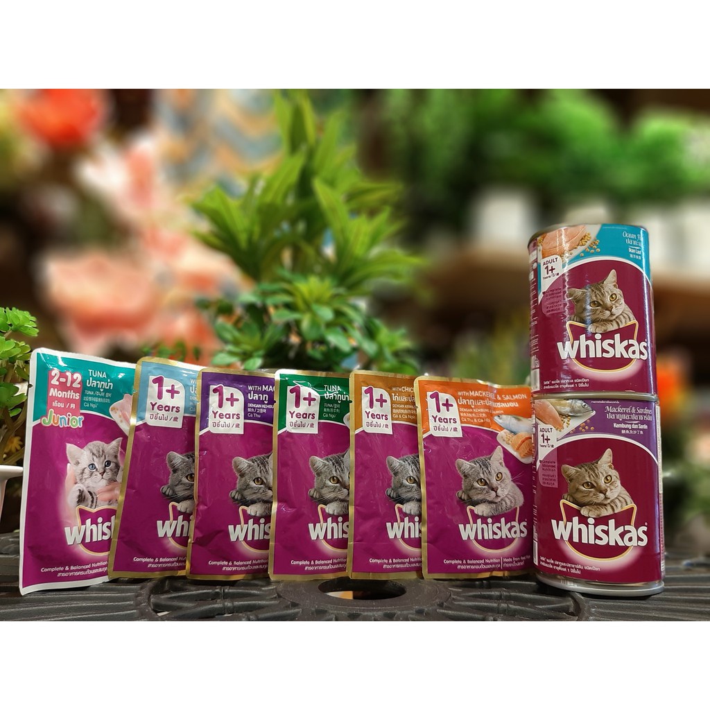 Pate Whiskas Cho Mèo Con Vị Cá Ngừ 85g