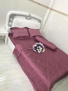 Bộ ga và vỏ gối phi lụa Thái Tuấn