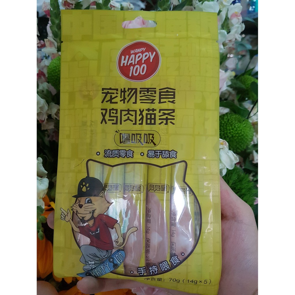 Súp thưởng Wanpy dinh dưỡng cho mèo gói 5 thanh