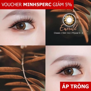 [GIÁ TỐT] Lens màu nâu Emerald Brown (Cận 0-6) - Kính áp tròng Giãn nhỏ cho mắt nhảy cảm (GDia 14.0) - Đeo 8h/d - HSD 6m