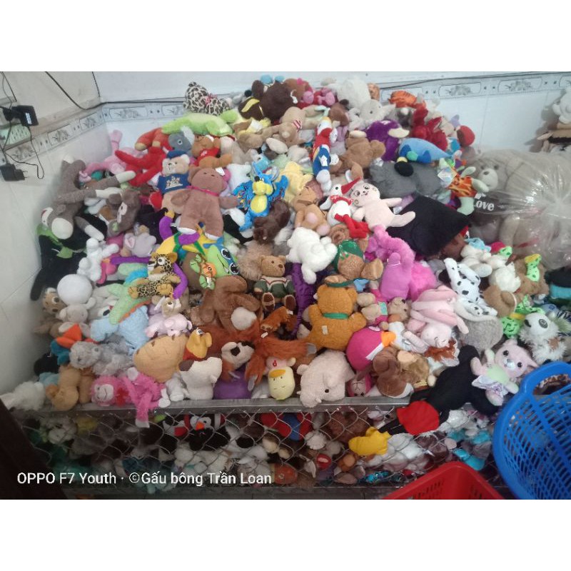 Gấu bông các con vật size 10_20cm