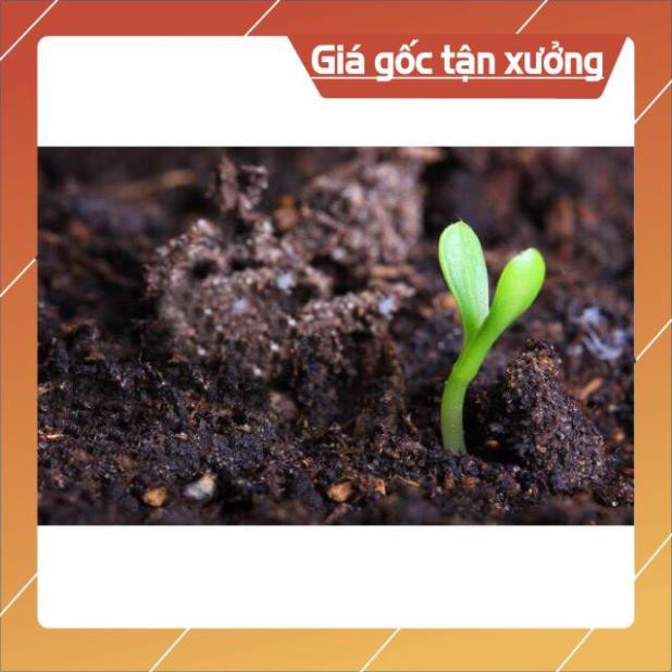 Đất trồng rau - đất sạch hữu cơ đất tribat
