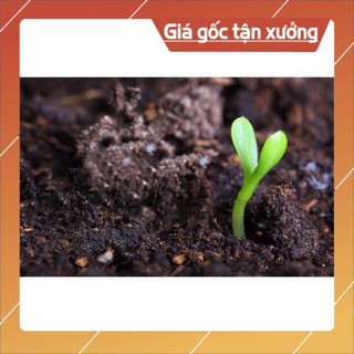 Đất trồng rau - đất sạch hữu cơ đất tribat