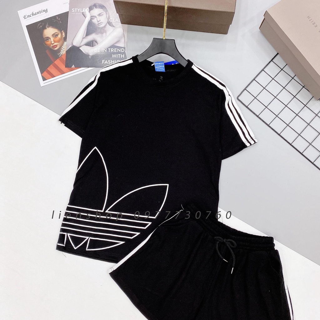 BỘ COTTON ĐÙI PHỐI 3 LÁ HÔNG ÁO BẢNG 4 MÀU CHO NỮ ...