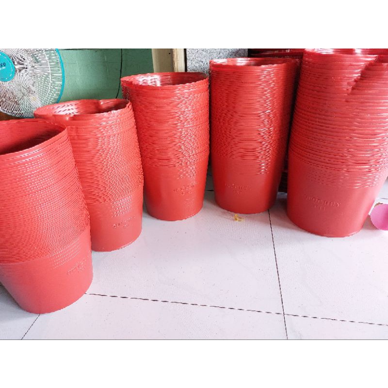 combo 100 chậu c9 đỏ liên an