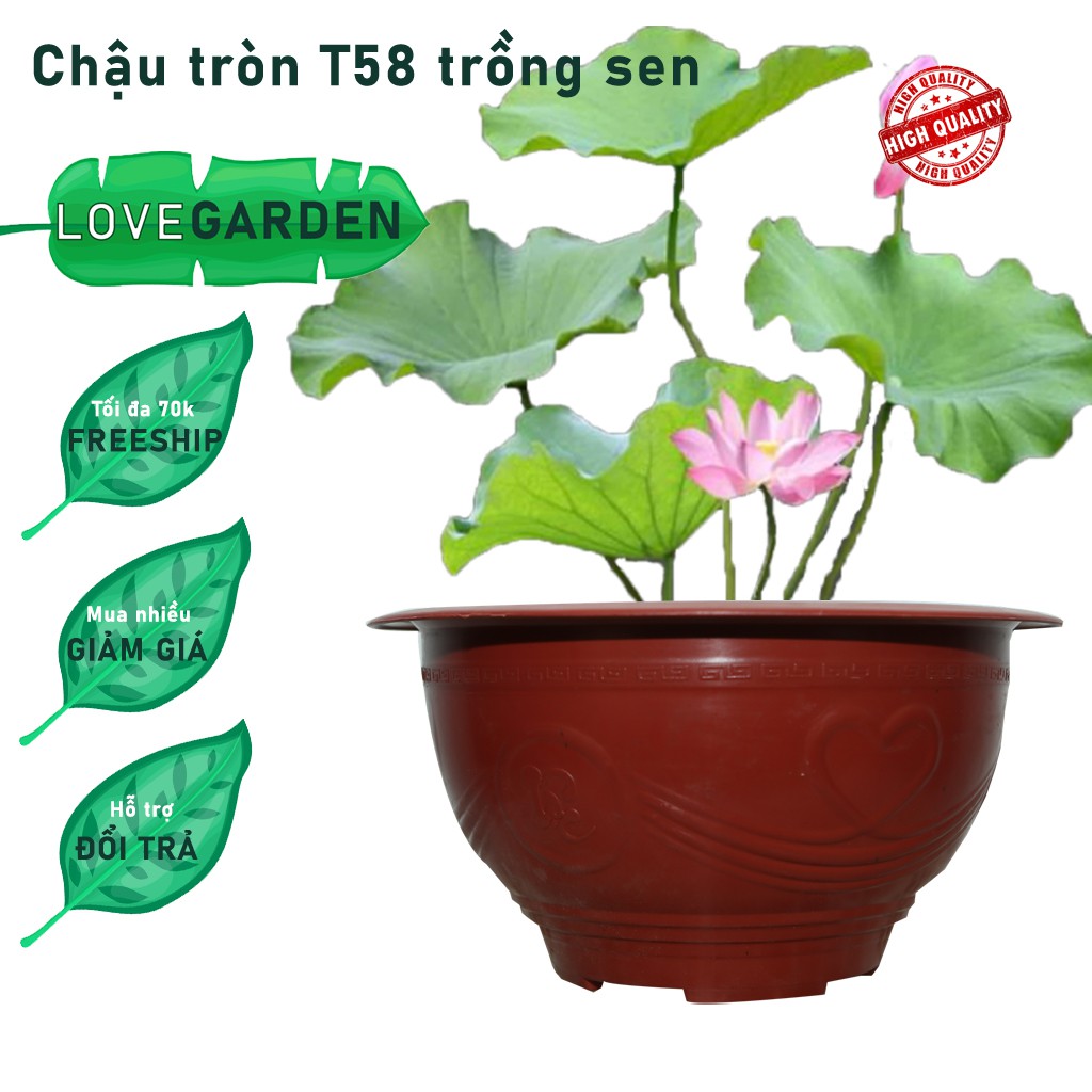 Chậu trồng sen, nuôi cá cỡ lớn mã CN10T58 màu đỏ đáy không có lỗ thoát nước size 56x27,8cm