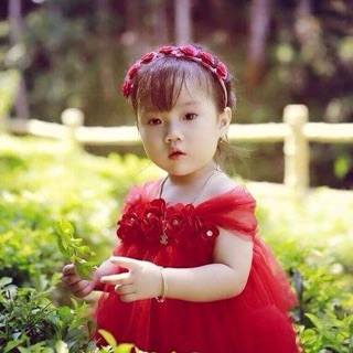 Váy bé gái hoa hồng đỏ (tặng kèm băng đô)
