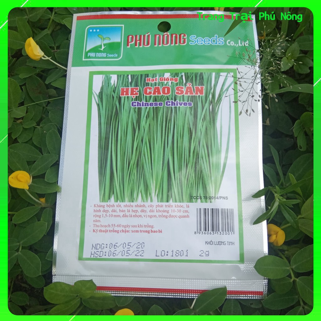 Hạt Giống Hẹ Cao Sản, Chất Lượng Cao Phú Nông - Gói 2gr - Chinese Chives