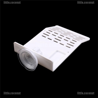 [coco] Hòn Đảo Hồ Cá / Rùa Leo Trèo