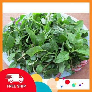 2000ngàn hạt giống rau dền xanh ( A2.MT9)