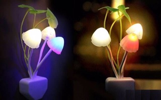 Đèn ngủ nấm cảm ứng