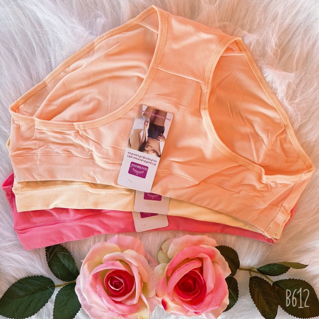 COMBO 10 QUẦN LÓT COTTON THÁI LAN MỊN 8602 | BigBuy360 - bigbuy360.vn