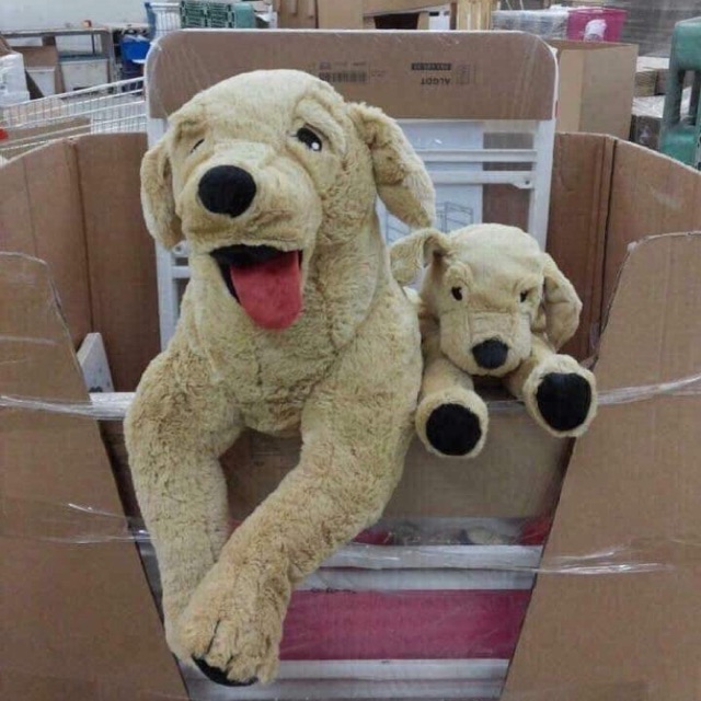 Sét gấu ôm chó mẹ và chó con IKEA
