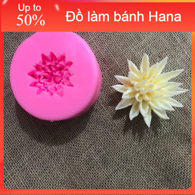 Khuôn silicon 4D Hoa súng 7cm