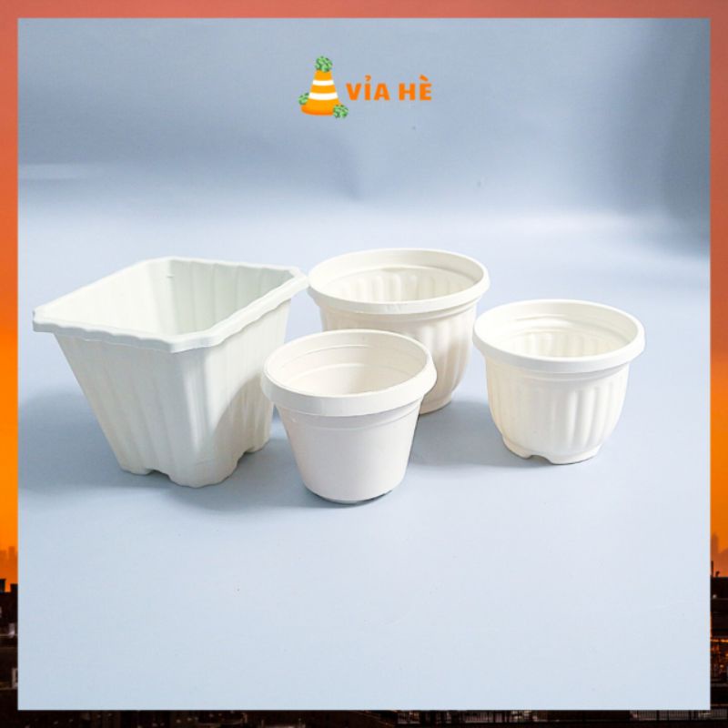 Chậu nhựa trồng sen đá xương rồng màu trắng nhiều size giá không móc