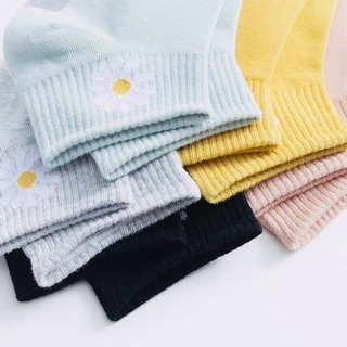 Set 10 đôi vớ hoa cúc daisy