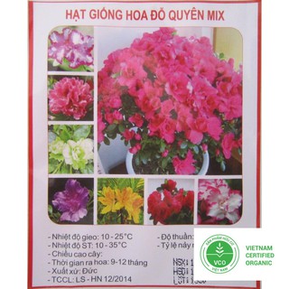10 Hạt giống Đỗ Quyên (tặng gói Kích nẩy mầm và Hướng dẫn) THUTHUY
