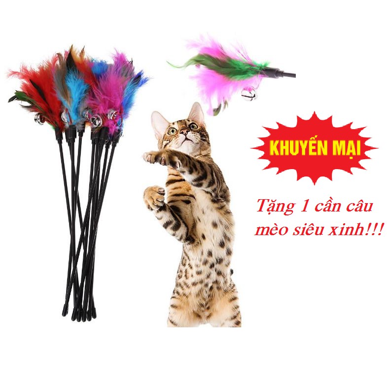 Bàn Cào Móng Mèo Hình Tròn [GIÁ XẢ KHO] size 43cm Siêu to khổng lồ