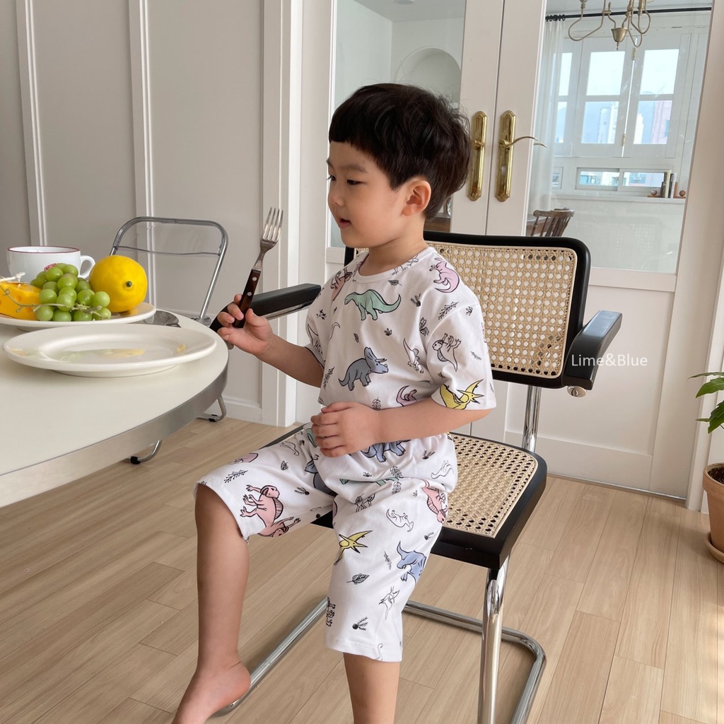 Lime&Blue Bộ đồ khủng long cho bé trai , bé gái