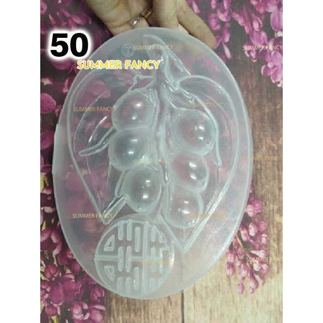 Khuôn rau câu 20cm trong suốt thạch làm bánh - Tray mold Jelly