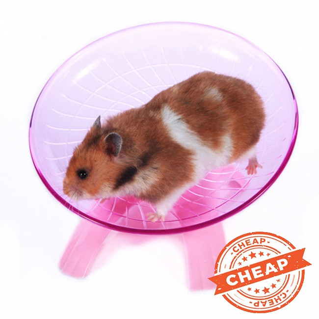 Đĩa Xoay Tập Thể Dục Cho Chuột Hamster