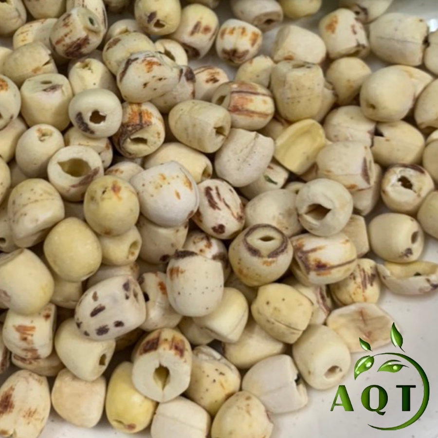 1KG Hạt Sen Khô Đồng Tháp Loại Sạch, Ngọt, Thơm, Hạt Sen Sấy Nấu Chè, Nấu Sữa Siêu Ngon