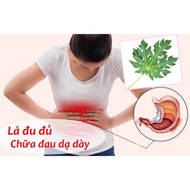 LÁ ĐU ĐỦ ĐỰC KHÔ (Tự làm mới sạch thơm)