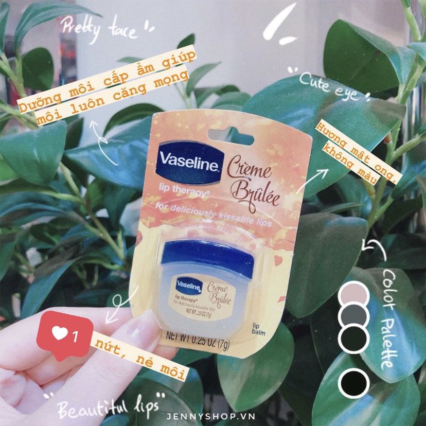 Dưỡng Môi Vaseline Lip Therapy