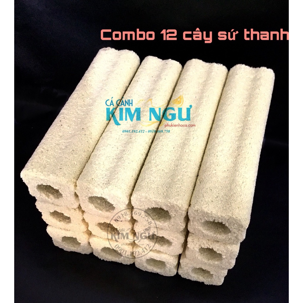 Combo 12 Cây Sứ Thanh Vàng Lọc Nước Hồ Cá 15*3.5*3.5cm