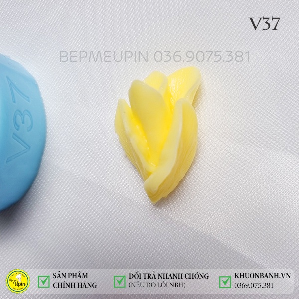Khuôn silicon 4d hoa rơi Thái v35 v36 37 38 39 40