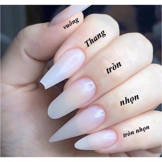 móng úp sẵn/ nailbox flash sẵn size M