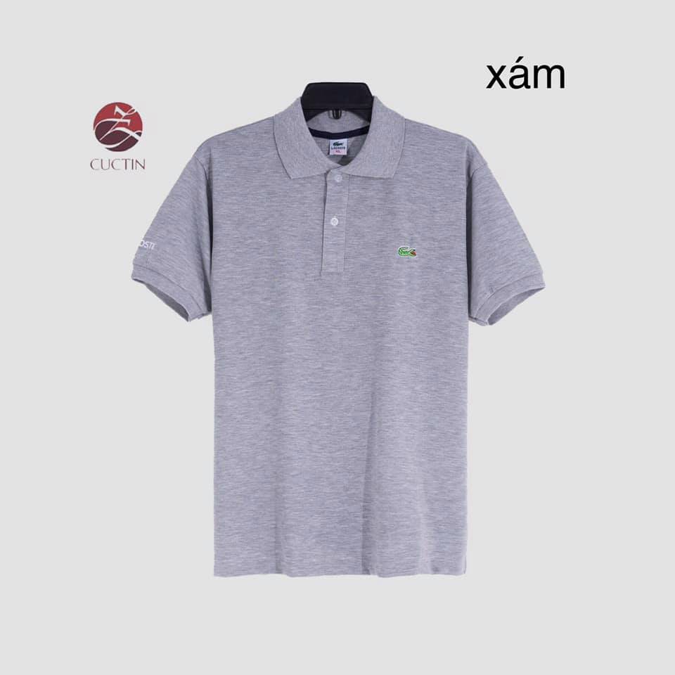 ÁO THUN CÁ SẤU, SIZE L - 3XL. CÚC TIN