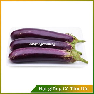 Hạt giống Cà Tim Quả Dài ( Gói 1 Gram ) - Nông Sản Vàng
