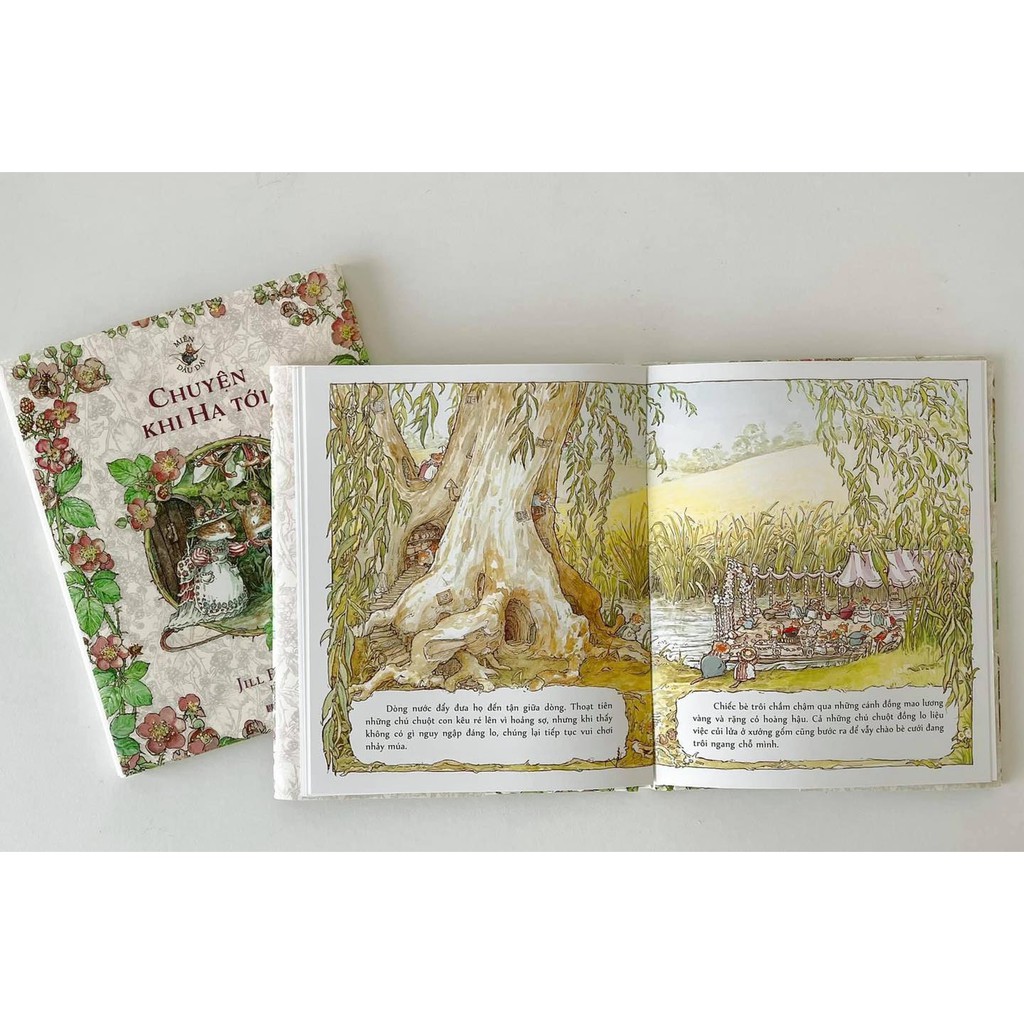 Bộ sách Miền Dâu Dại Bộ 4 cuốn Crabit Kidbooks.