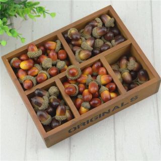 Phụ kiện chụp ảnh Hạt sồi
